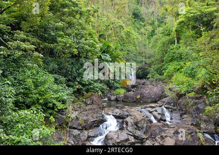 Vegetazione lussureggiante e scena di cascate lungo la strada per Hana, percorso panoramico; Maui, Hawaii, Stati Uniti d'America Foto Stock