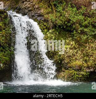 Vista ravvicinata di una cascata spumeggiante lungo la Road to Hana, percorso panoramico; Maui, Hawaii, Stati Uniti d'America Foto Stock
