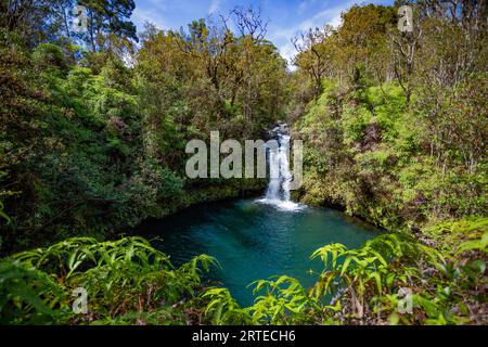 Vegetazione lussureggiante e cascata con piscina turchese lungo la strada per Hana, percorso panoramico; Maui, Hawaii, Stati Uniti d'America Foto Stock