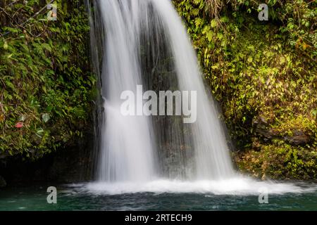 Vista ravvicinata di una cascata lungo la Road to Hana, percorso panoramico; Maui, Hawaii, Stati Uniti d'America Foto Stock