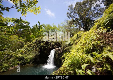 Vista attraverso la lussureggiante vegetazione di una cascata immersa con una piscina turchese lungo la strada per Hana, percorso panoramico Foto Stock