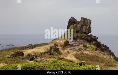 Formazioni rocciose vulcaniche lungo le scogliere dell'Oceano Pacifico in una giornata nuvolosa a West Maui; Maui, Hawaii, Stati Uniti d'America Foto Stock