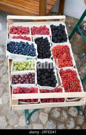 Frutti di bosco freschi in ciotole di cartone Foto Stock