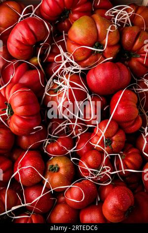 Pomodori OX (riempimento dell'immagine) Foto Stock