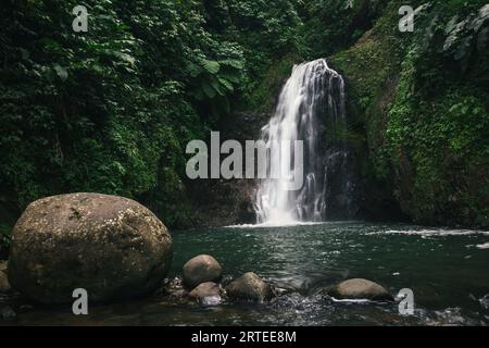 Cascate Seven Sisters circondate da una vegetazione lussureggiante con grandi massi nella piscina a immersione del Parco Nazionale di Grand Etang Foto Stock