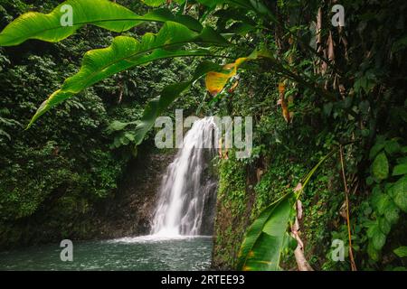 Splendida vista delle cascate Seven Sisters con vegetazione lussureggiante nel Parco Nazionale del Grand Etang Foto Stock