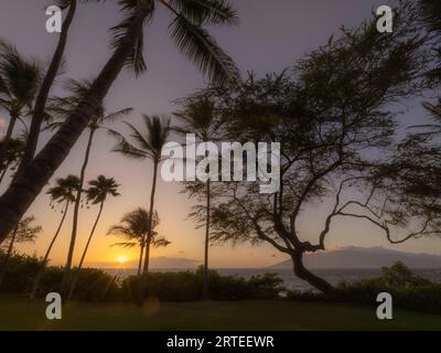 Silhouette di alberi tropicali lungo la riva a Keawakapu Beach con raggi di sole dorati sull'Oceano Pacifico al crepuscolo Foto Stock