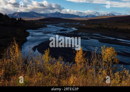 Vista panoramica del pennello colorato autunnale illuminato dal sole, di fronte al fiume Savage e alle montagne Alaska Range sullo sfondo, su un soleggiato pa... Foto Stock