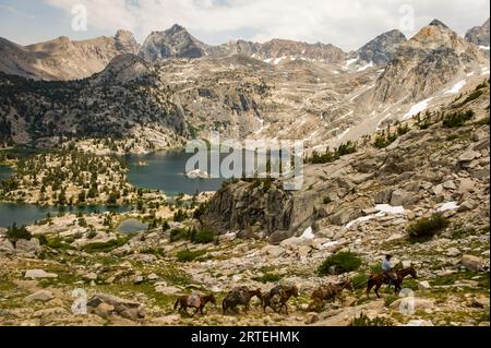 Uomo che guida cavalli attraverso il Kings Canyon National Park, California, USA; California, Stati Uniti d'America Foto Stock