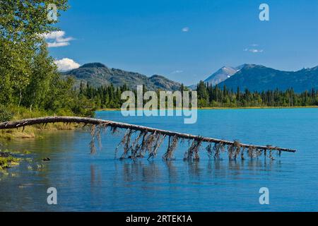 Vista del lago Skilak presso il Kenai National Wildlife Refuge, Alaska, USA; Alaska, Stati Uniti d'America Foto Stock