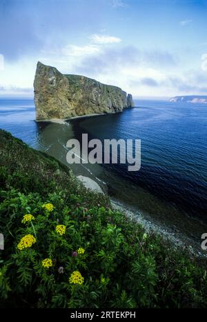 Perce Rock vicino a Bonaventure Island; Bonaventure Island, Gaspe Peninsula, Quebec, Canada Foto Stock