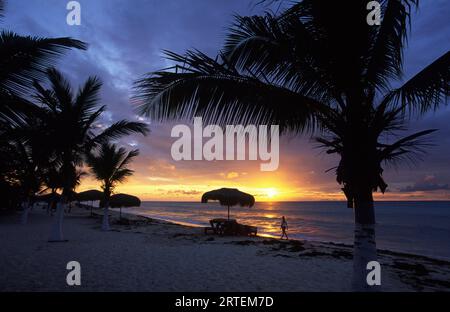 Eagle Beach al tramonto sull'isola di Aruba; Aruba Foto Stock