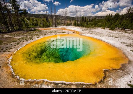 Morning Glory Pool presso Upper Geyser Basin nel parco nazionale di Yellowstone, USA; Wyoming, Stati Uniti d'America Foto Stock