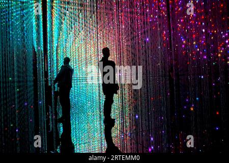 TeamLab Borderless in Aomi, Koto City, Tokyo – 21 febbraio 2020 Foto Stock