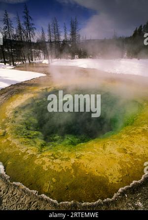 Morning Glory Pool presso Upper Geyser Basin nel parco nazionale di Yellowstone, USA; Wyoming, Stati Uniti d'America Foto Stock