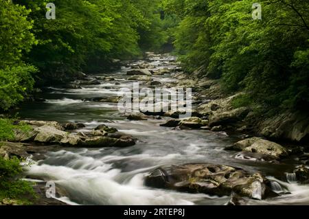 Il fiume Middle Prong si estende su rocce attraverso un bosco nel Great Smoky Mountains National Park, Tennessee, Stati Uniti; Tennessee, Stati Uniti d'America Foto Stock