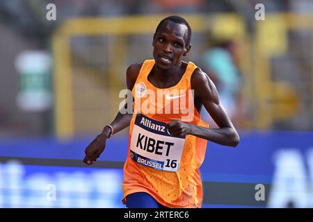 BRUXELLES - Benard Kibet durante i 10000 metri dell'Allianz Memorial Van Damme 2023, parte della serie Diamond League 2023 al King Baudouin Stadium 8 settembre 2023 a Bruxelles, Belgio. ANP | Hollandse Hoogte | GERRIT VAN COLOGNE Foto Stock