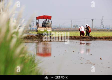 Contea di Luannan - 16 maggio 2019: Piantagione meccanizzata di piantine di riso da parte degli agricoltori, Contea di Luannan, provincia di Hebei, Cina Foto Stock