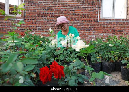 Contea di Luannan - 16 maggio 2019: Una signora sta sorvegliando i fiori nel giardino, contea di Luannan, provincia di Hebei, Cina. Foto Stock