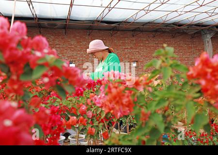 Contea di Luannan - 16 maggio 2019: Una signora sta sorvegliando i fiori nel giardino, contea di Luannan, provincia di Hebei, Cina. Foto Stock