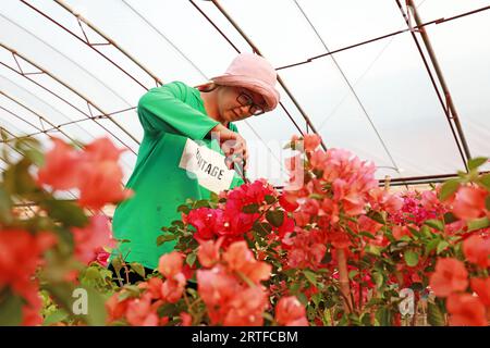 Contea di Luannan - 16 maggio 2019: Una signora sta sorvegliando i fiori nel giardino, contea di Luannan, provincia di Hebei, Cina. Foto Stock