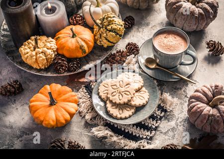 Cioccolata Chai o cacao caldo con biscotti chai e zucche per la colazione del giorno del Ringraziamento. Accogliente natura morta autunnale, hygge. Foto Stock