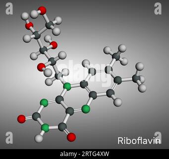 Riboflavina, molecola di vitamina B2. È idrosolubile flavin, si trova negli alimenti, usato come integratore alimentare E101. Modello molecolare. Rendering 3D. Illus Foto Stock