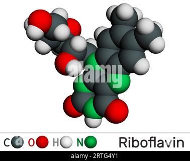 Riboflavina, molecola di vitamina B2. È idrosolubile flavin, si trova negli alimenti, usato come integratore alimentare E101. Modello molecolare. Rendering 3D. Illus Foto Stock