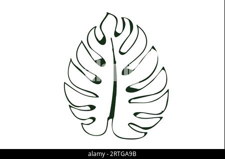 Monstera Leaf line art su sfondo bianco, isolato Foto Stock