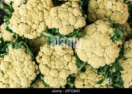 Un gruppo fresco di cavolfiori con foglie verdi, bellissimo cavolfiore con foglie verdi isolate Foto Stock