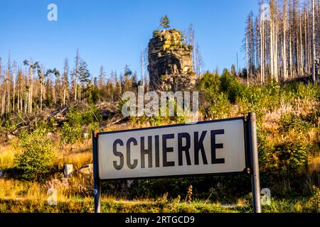 Escursione in tarda estate attraverso il Parco Nazionale di Harz intorno a Schierke - Sassonia-Anhalt - Germania Foto Stock