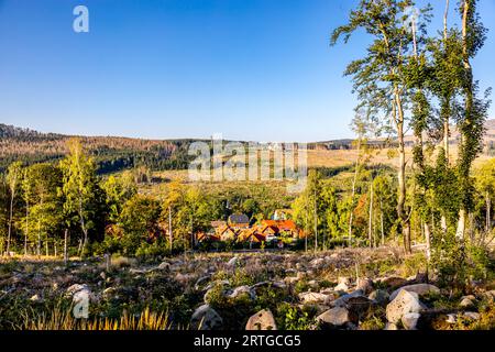 Escursione in tarda estate attraverso il Parco Nazionale di Harz intorno a Schierke - Sassonia-Anhalt - Germania Foto Stock