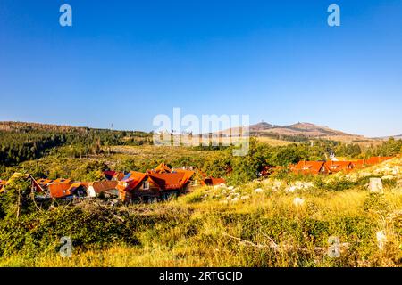 Escursione in tarda estate attraverso il Parco Nazionale di Harz intorno a Schierke - Sassonia-Anhalt - Germania Foto Stock