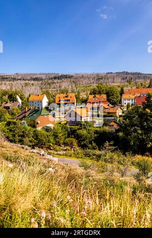 Escursione in tarda estate attraverso il Parco Nazionale di Harz intorno a Schierke - Sassonia-Anhalt - Germania Foto Stock