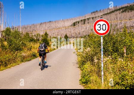 Escursione in tarda estate attraverso il Parco Nazionale di Harz intorno a Schierke - Sassonia-Anhalt - Germania Foto Stock