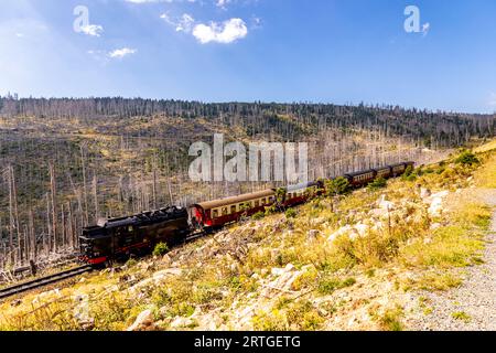 Escursione in tarda estate attraverso il Parco Nazionale di Harz intorno a Schierke - Sassonia-Anhalt - Germania Foto Stock