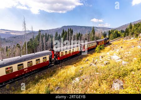 Escursione in tarda estate attraverso il Parco Nazionale di Harz intorno a Schierke - Sassonia-Anhalt - Germania Foto Stock