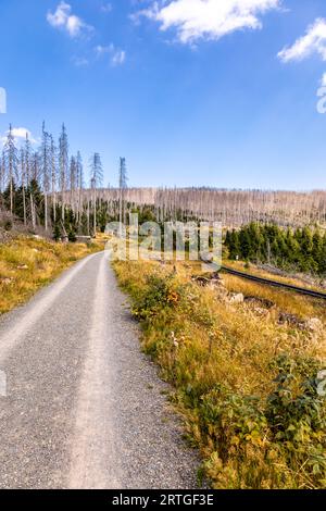 Escursione in tarda estate attraverso il Parco Nazionale di Harz intorno a Schierke - Sassonia-Anhalt - Germania Foto Stock