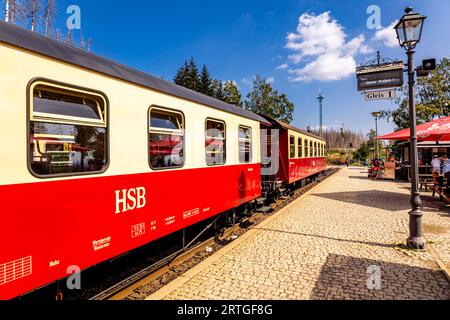 Escursione in tarda estate attraverso il Parco Nazionale di Harz intorno a Schierke - Sassonia-Anhalt - Germania Foto Stock