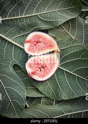 Vista dall'alto del siconio maturo dimezzato posto su molte foglie verdi sinuose di sicamina Foto Stock