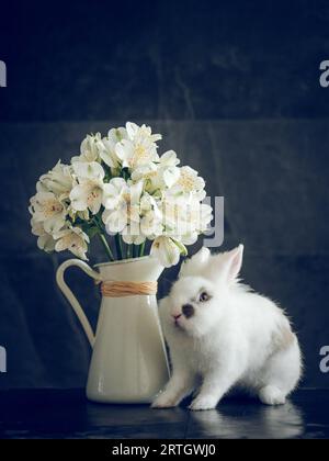 Piccolo adorabile coniglietto soffice seduto vicino a vaso di ceramica bianca con fiori di Alstroemeria posti contro la parete blu Foto Stock