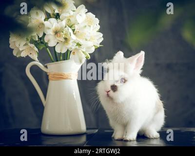 Adorabile coniglio bianco soffice con bouquet di fiori di Alstroemeria freschi in fiore in brocca di ceramica su sfondo sfocato Foto Stock