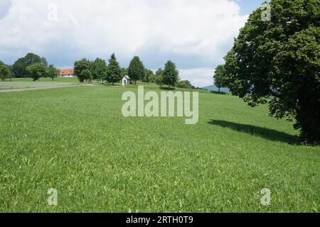 Piccola cappella nella bassa Austria Foto Stock