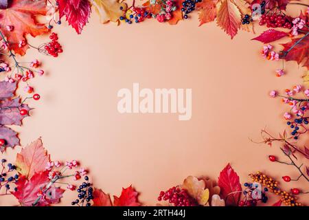 Modello autunnale. Sfondo composto da foglie e bacche di colore rosso giallo-arancione e marrone. Decorazioni floreali autunnali. Raccolto. Vista dall'alto del telaio piatto Foto Stock