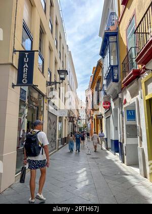 Siviglia, Spagna, grande folla, turisti, passeggiate sulla strada, nel centro della città vecchia, architettura vecchia, strada pedonale Foto Stock