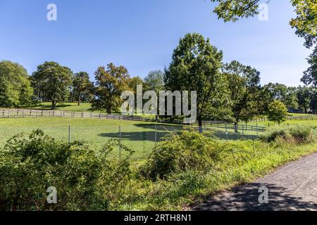 Rockefeller State Park Pocantico Hills New York USA Foto Stock