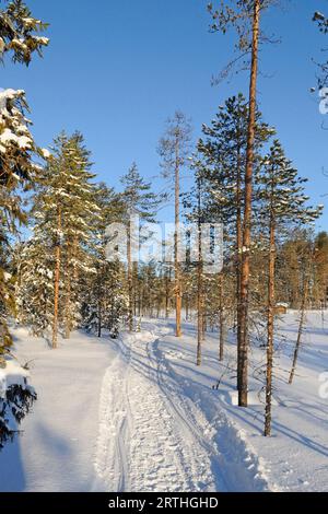 Paesaggio innevato finlandese al confine russo, Lentiira, Finlandia Foto Stock