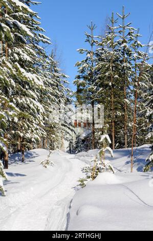 Paesaggio innevato finlandese al confine russo, Lentiira, Finlandia Foto Stock