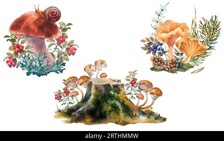 Illustrazione botanica ad acquerello dipinto a mano, set di piante forestali. Una composizione di piante forestali, un ceppo con muschio, lingonberries e funghi Foto Stock