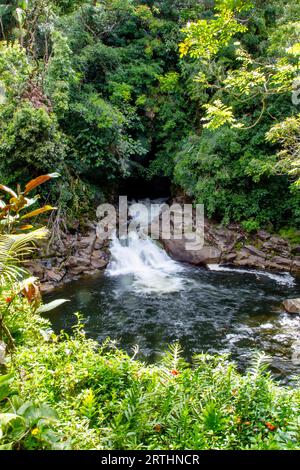 Piccola cascata nell'Akaka Falls State Park a Big Island, Hawaii, USA Foto Stock